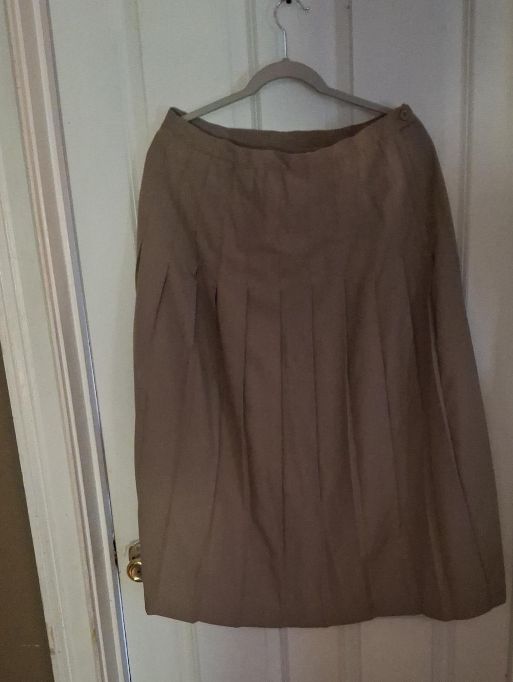 Briggs New York Pleated A-Line Skirt in Taupe